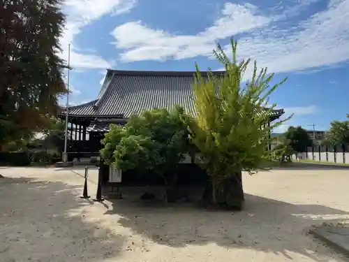 本願寺西山別院(京都府)