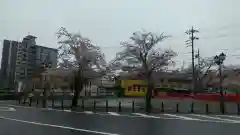 大垣八幡神社(岐阜県)