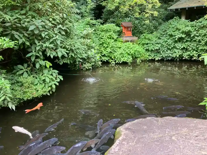 箱根神社(神奈川県)
