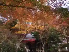 覚園寺(神奈川県)