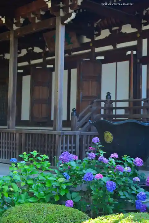 高幡不動尊 金剛寺(東京都)