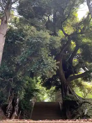 上下諏訪神社のその他建物