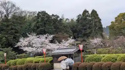 隨心院（随心院）(京都府)