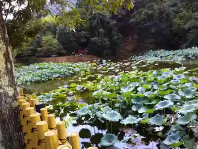 御髪神社の周辺