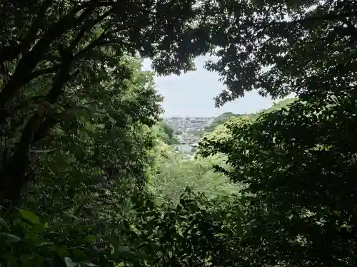 浄光明寺の{uncategorized: "未分類", other: "その他", undefined: "問題あり", building: "その他建物", grave: "お墓", sacred_gate: "鳥居", guardian: "狛犬", statue: "像", buddha: "仏像", history: "歴史", nature: "自然", garden: "庭園", animal: "動物", pagoda: "塔", temizu: "手水舎", mountain_gate: "山門・神門", sanctuary: "本殿・本堂", subordinate: "末社・摂社", art: "芸術", scenery: "景色", jizo: "地蔵", ema: "絵馬", goshuin: "御朱印", omikuji: "おみくじ", items: "授与品その他", amulet: "お守り", goshuincho: "御朱印帳", eats: "食事", festival: "お祭り", votive_dance: "神楽", shichigosan: "七五三参", wedding: "結婚式", experience: "体験その他", initially: "初詣", around: "周辺", anti_infection: "感染症対策"}