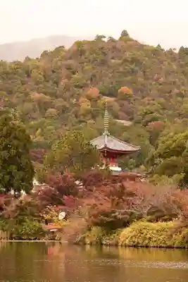 大覚寺(京都府)