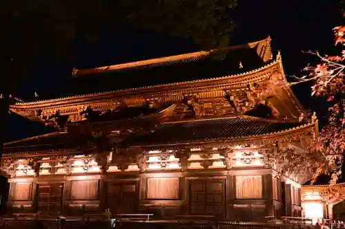 東寺（教王護国寺）(京都府)