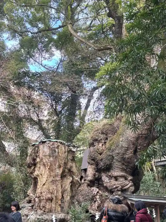 來宮神社(静岡県)