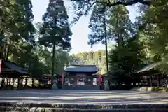 都農神社の建物その他