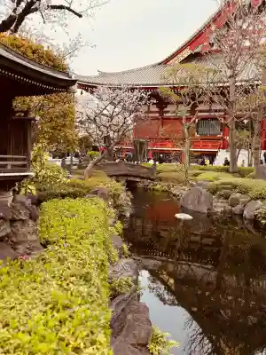 浅草寺(東京都)