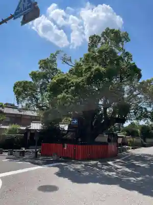 藤木社（賀茂別雷神社末社）(京都府)