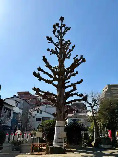 福王山  慈眼寺(東京都)