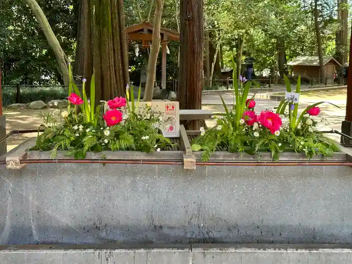 武蔵一宮氷川神社(埼玉県)