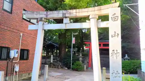 白山神社（大須白山神社）の鳥居