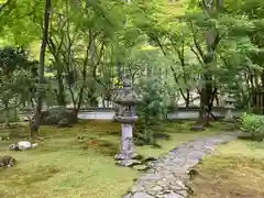 高山寺の庭園