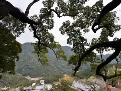 熊野那智大社の{uncategorized: "未分類", other: "その他", undefined: "問題あり", building: "その他建物", grave: "お墓", sacred_gate: "鳥居", guardian: "狛犬", statue: "像", buddha: "仏像", history: "歴史", nature: "自然", garden: "庭園", animal: "動物", pagoda: "塔", temizu: "手水舎", mountain_gate: "山門・神門", sanctuary: "本殿・本堂", subordinate: "末社・摂社", art: "芸術", scenery: "景色", jizo: "地蔵", ema: "絵馬", goshuin: "御朱印", omikuji: "おみくじ", items: "授与品その他", amulet: "お守り", goshuincho: "御朱印帳", eats: "食事", festival: "お祭り", votive_dance: "神楽", shichigosan: "七五三参", wedding: "結婚式", experience: "体験その他", initially: "初詣", around: "周辺", anti_infection: "感染症対策"}