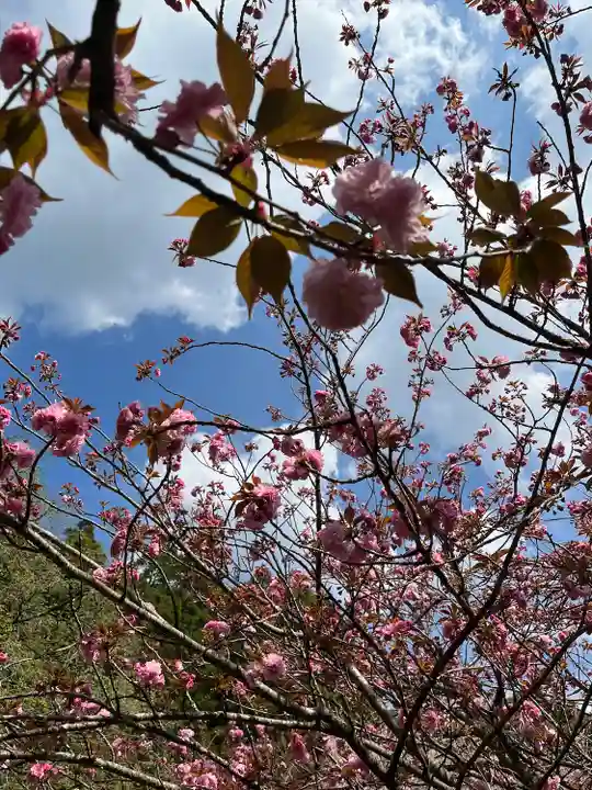宝満宮竈門神社(福岡県)