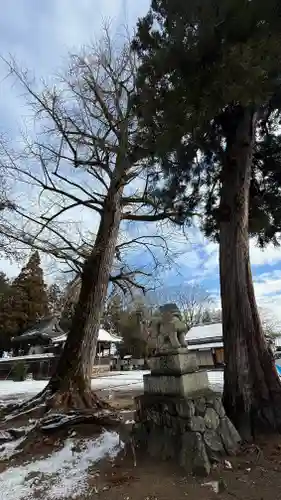 一宮神社(兵庫県)