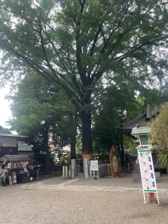 田無神社(東京都)