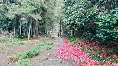 葦不合神社(千葉県)