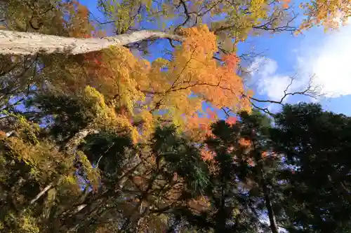 隠津島神社の庭園