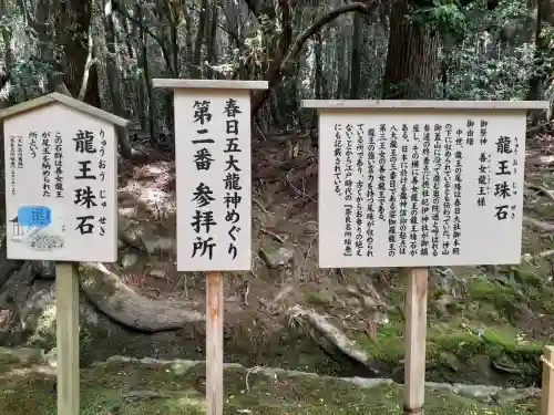 龍王珠石の{uncategorized: "未分類", other: "その他", undefined: "問題あり", building: "その他建物", grave: "お墓", sacred_gate: "鳥居", guardian: "狛犬", statue: "像", buddha: "仏像", history: "歴史", nature: "自然", garden: "庭園", animal: "動物", pagoda: "塔", temizu: "手水舎", mountain_gate: "山門・神門", sanctuary: "本殿・本堂", subordinate: "末社・摂社", art: "芸術", scenery: "景色", jizo: "地蔵", ema: "絵馬", goshuin: "御朱印", omikuji: "おみくじ", items: "授与品その他", amulet: "お守り", goshuincho: "御朱印帳", eats: "食事", festival: "お祭り", votive_dance: "神楽", shichigosan: "七五三参", wedding: "結婚式", experience: "体験その他", initially: "初詣", around: "周辺", anti_infection: "感染症対策"}