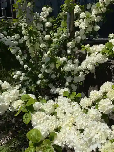 井際山 如意輪寺(愛知県)