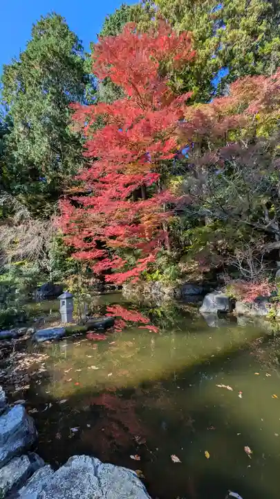 善峯寺(京都府)