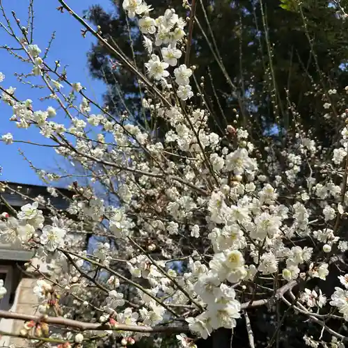 豊景神社(福島県)
