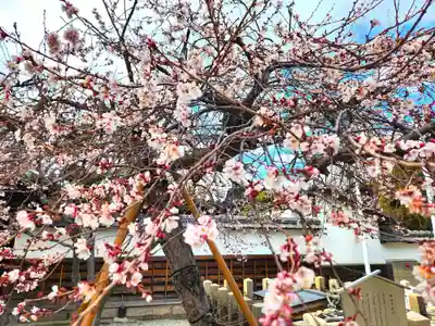 本興寺(兵庫県)