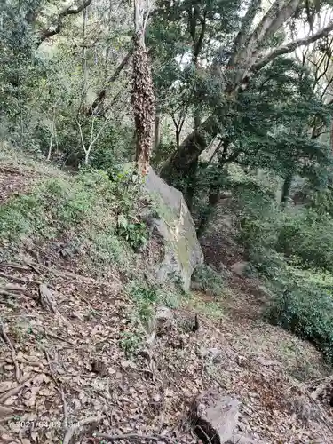 伊豆山神社の自然