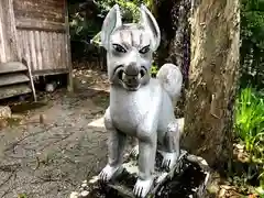 馬場稲荷神社の狛犬