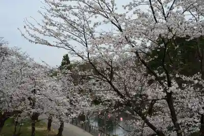 蒼柴神社(新潟県)