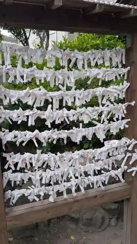 宮地嶽神社のおみくじ