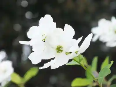 立志神社の自然