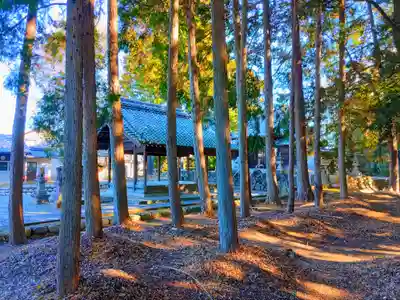 熊野社（塔野地）の自然