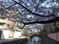 平安神宮(京都府)