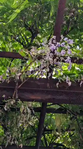 安井金比羅宮(京都府)