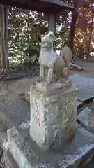 二ツ森稲荷神社の狛犬