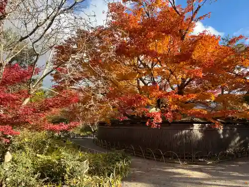 宝厳院(京都府)
