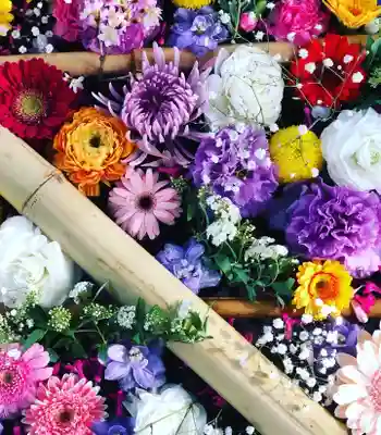札幌護國神社の手水舎