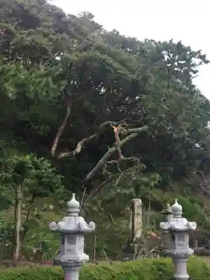 誕生寺のその他建物