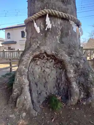 廣瀬神社(埼玉県)