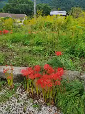 真性寺(埼玉県)