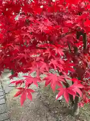 東漸寺(千葉県)