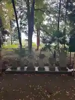 大蛇摩賀多神社(千葉県)