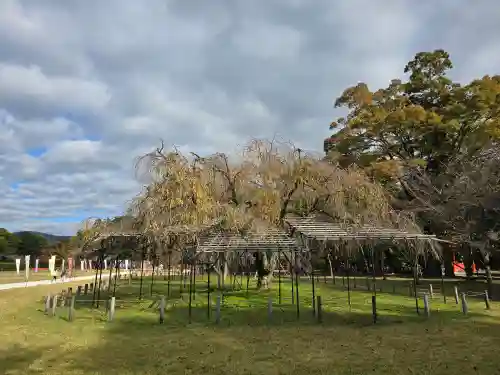 賀茂別雷神社（上賀茂神社）(京都府)