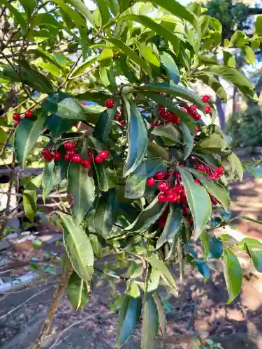 伊勢社の{uncategorized: "未分類", other: "その他", undefined: "問題あり", building: "その他建物", grave: "お墓", sacred_gate: "鳥居", guardian: "狛犬", statue: "像", buddha: "仏像", history: "歴史", nature: "自然", garden: "庭園", animal: "動物", pagoda: "塔", temizu: "手水舎", mountain_gate: "山門・神門", sanctuary: "本殿・本堂", subordinate: "末社・摂社", art: "芸術", scenery: "景色", jizo: "地蔵", ema: "絵馬", goshuin: "御朱印", omikuji: "おみくじ", items: "授与品その他", amulet: "お守り", goshuincho: "御朱印帳", eats: "食事", festival: "お祭り", votive_dance: "神楽", shichigosan: "七五三参", wedding: "結婚式", experience: "体験その他", initially: "初詣", around: "周辺", anti_infection: "感染症対策"}