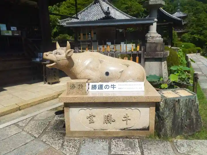 三室戸寺(京都府)