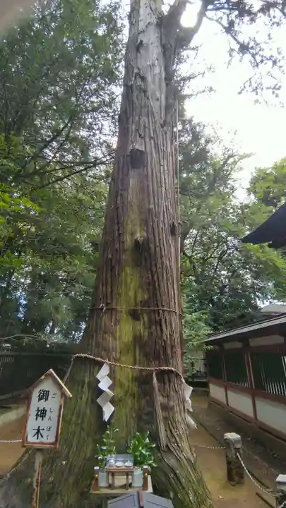 一言主神社(茨城県)